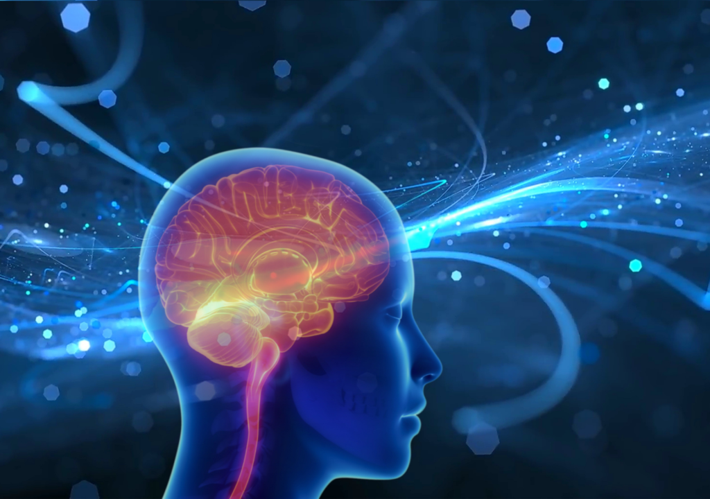 Peptides for Cognitive Function